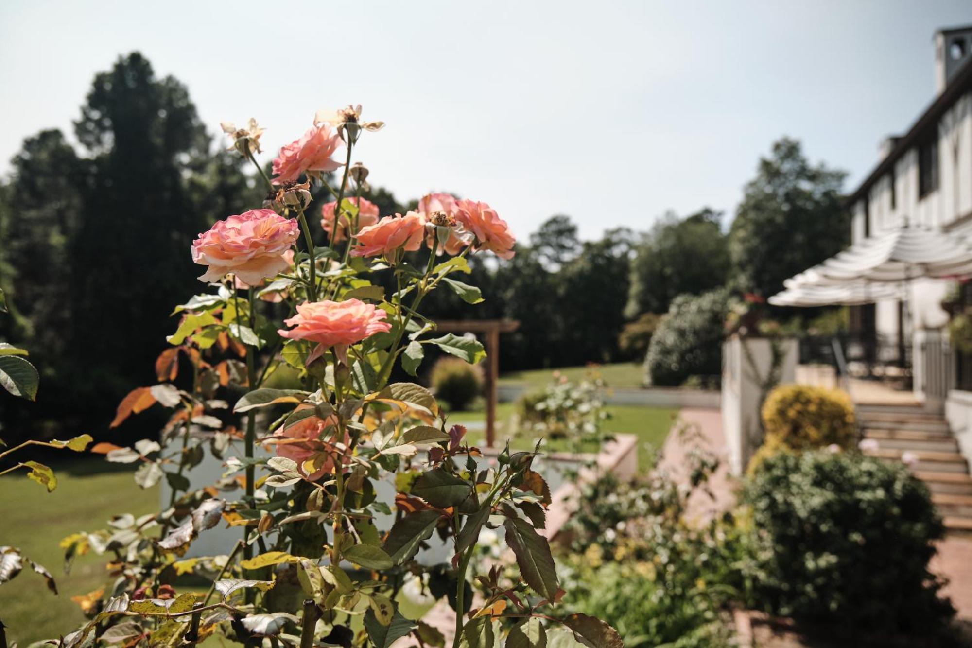 サザンパインズ Duncraig Manor Bed & Breakfast エクステリア 写真